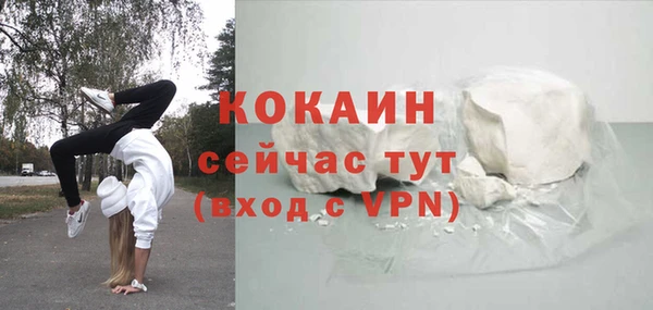 ECSTASY Богданович