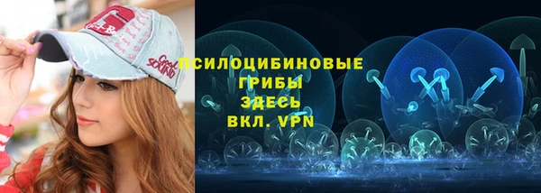 ECSTASY Богданович