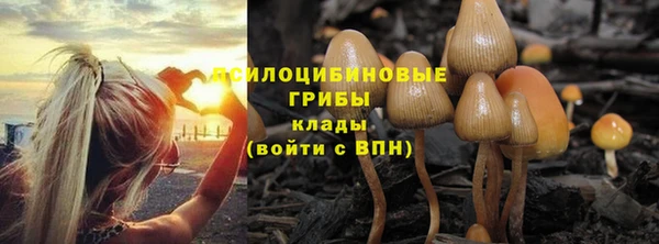 хмурый Богородск