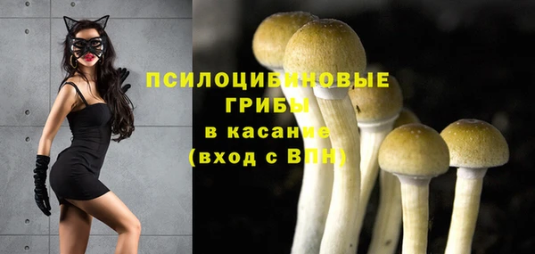 соль курить ск Богородицк
