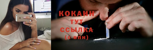 молекула духа Белоозёрский