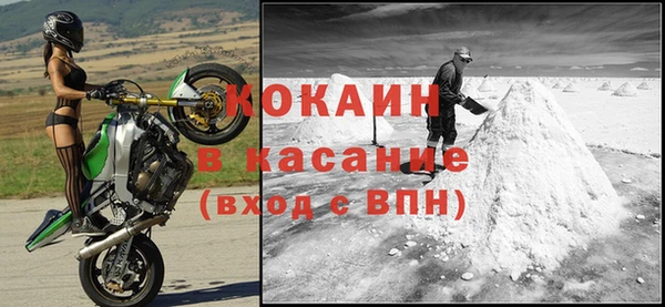 ECSTASY Богданович