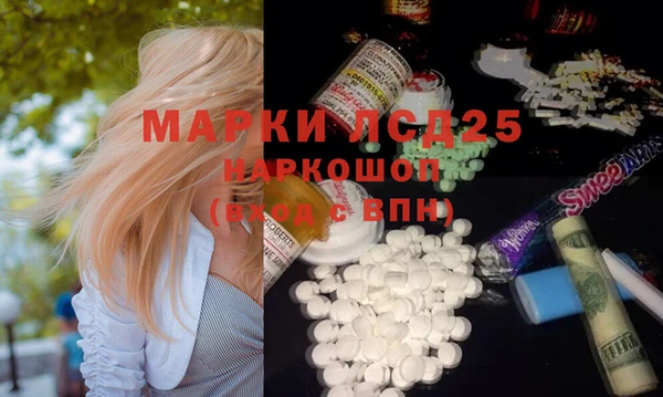 индика Баксан