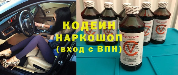 хмурый Богородск