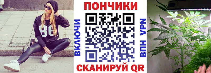 дарк нет официальный сайт  Борзя  Шишки марихуана марихуана 